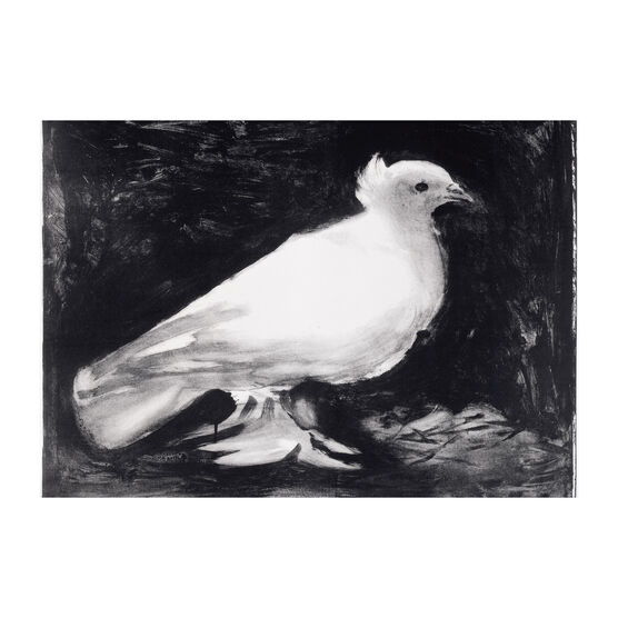 Pablo Picasso Dove Christmas cards (Pack of 6)